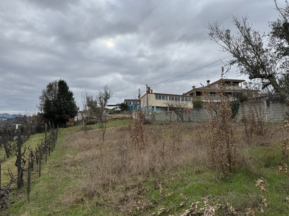 Terreno Agricola ou Rústico para Venda em Vila Marim Foto 10