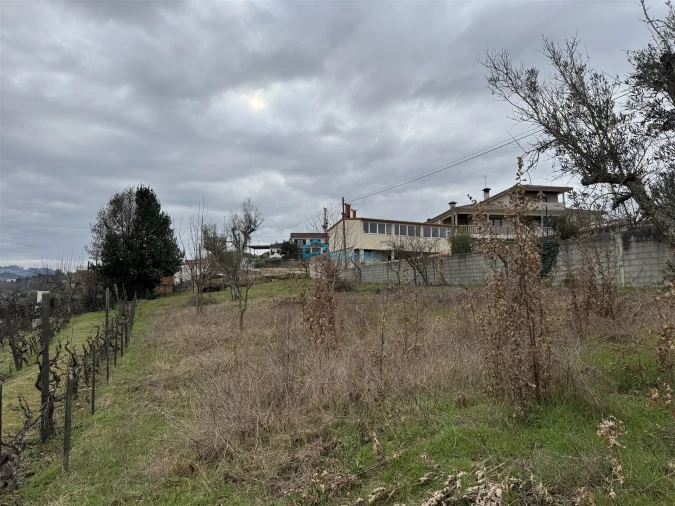 Terreno Agricola ou Rústico para Venda em Vila Marim Foto 10