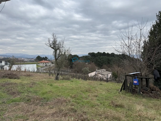 Terreno Agricola ou Rústico para Venda em Vila Marim Foto 14