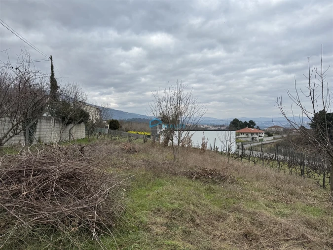 Terreno Agricola ou Rústico para Venda em Vila Marim Foto 7