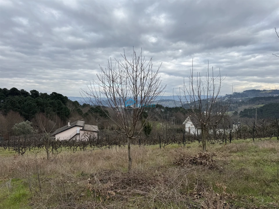 Terreno Agricola ou Rústico para Venda em Vila Marim Foto 8