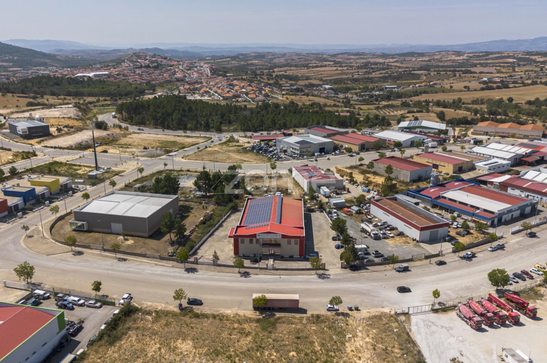Negócio para Venda em Mogadouro, Valverde, Vale de Porco e Vilar de Rei Foto 2