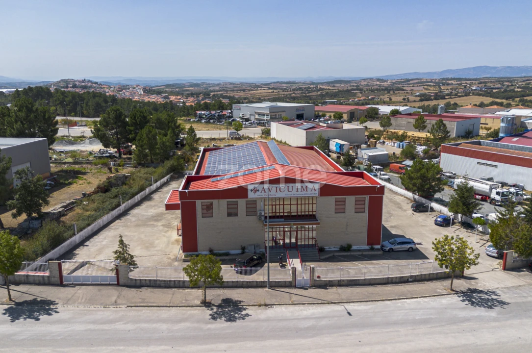 Negócio para Venda em Mogadouro, Valverde, Vale de Porco e Vilar de Rei Foto 6