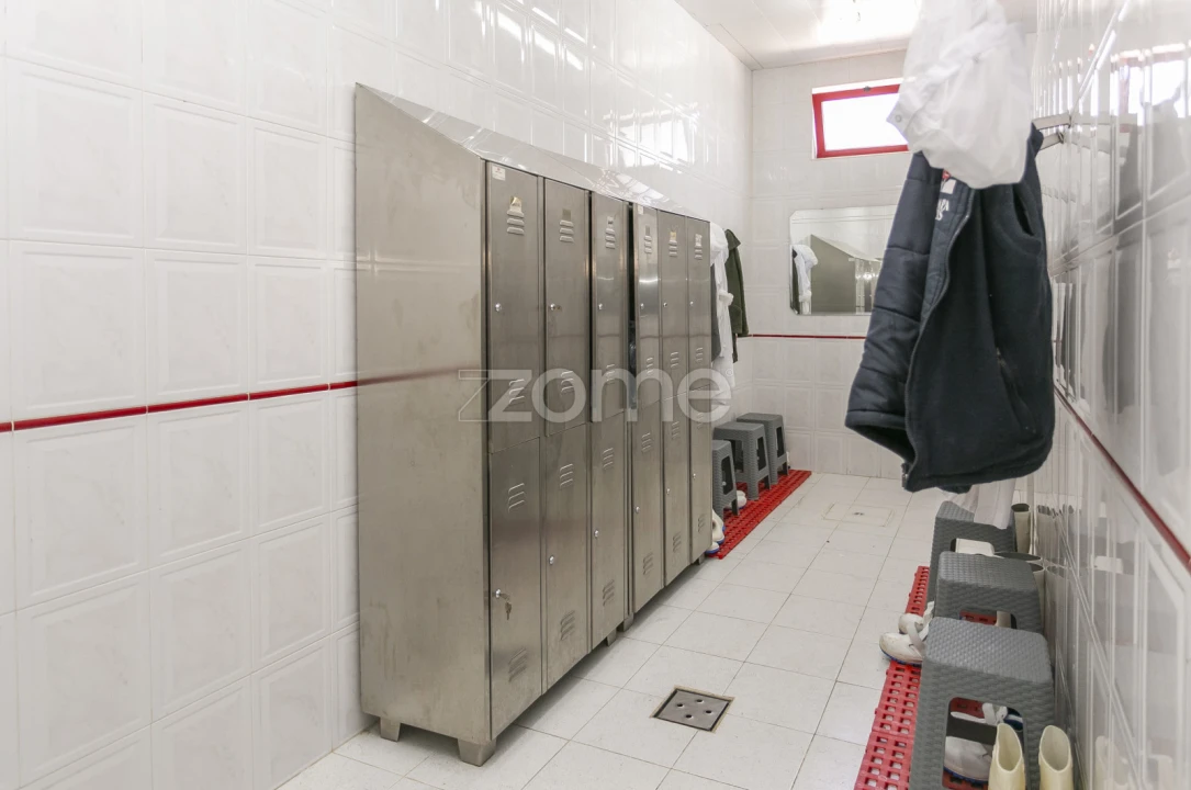 Negócio para Venda em Mogadouro, Valverde, Vale de Porco e Vilar de Rei Foto 20