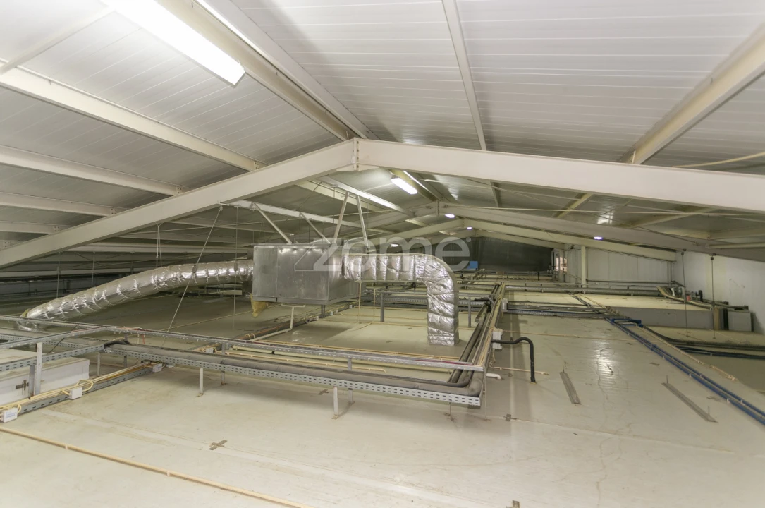 Negócio para Venda em Mogadouro, Valverde, Vale de Porco e Vilar de Rei Foto 40