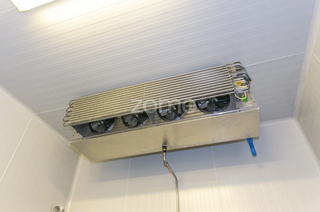 Negócio para Venda em Mogadouro, Valverde, Vale de Porco e Vilar de Rei Foto 56