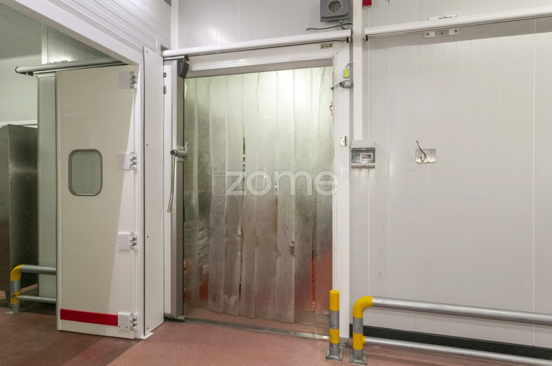 Negócio para Venda em Mogadouro, Valverde, Vale de Porco e Vilar de Rei Foto 58