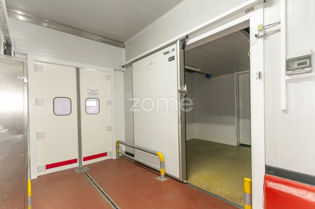 Negócio para Venda em Mogadouro, Valverde, Vale de Porco e Vilar de Rei Foto 65