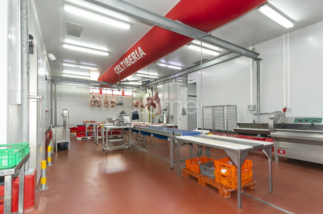 Negócio para Venda em Mogadouro, Valverde, Vale de Porco e Vilar de Rei Foto 74