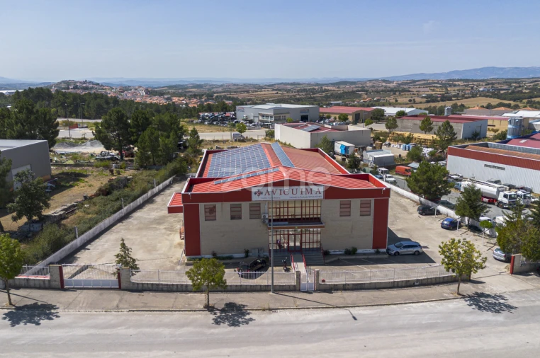 Negócio para Venda em Mogadouro, Valverde, Vale de Porco e Vilar de Rei Foto 6