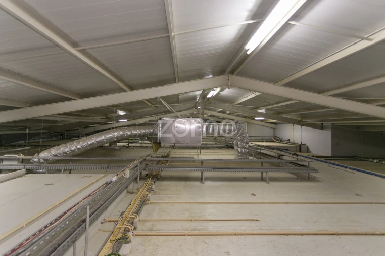 Negócio para Venda em Mogadouro, Valverde, Vale de Porco e Vilar de Rei Foto 39