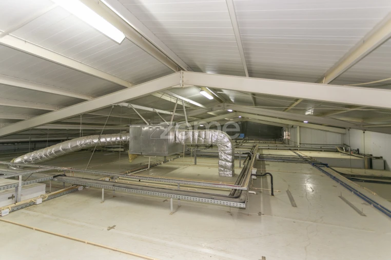 Negócio para Venda em Mogadouro, Valverde, Vale de Porco e Vilar de Rei Foto 40