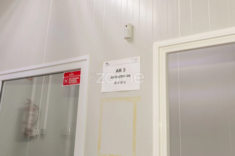 Negócio para Venda em Mogadouro, Valverde, Vale de Porco e Vilar de Rei Foto 48