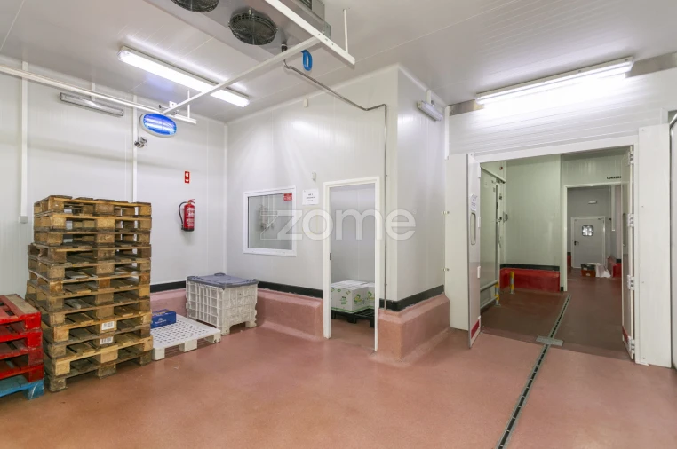 Negócio para Venda em Mogadouro, Valverde, Vale de Porco e Vilar de Rei Foto 49