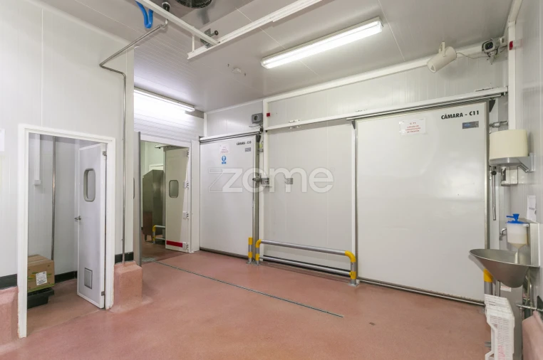 Negócio para Venda em Mogadouro, Valverde, Vale de Porco e Vilar de Rei Foto 52