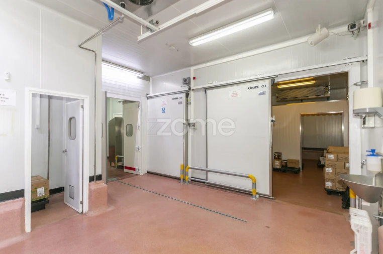 Negócio para Venda em Mogadouro, Valverde, Vale de Porco e Vilar de Rei Foto 53