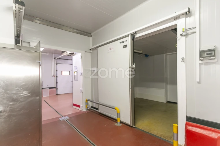 Negócio para Venda em Mogadouro, Valverde, Vale de Porco e Vilar de Rei Foto 64