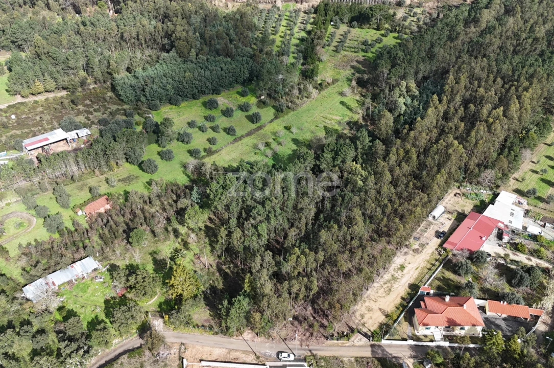 Terreno para Venda em Antuzede e Vil de Matos Foto 15