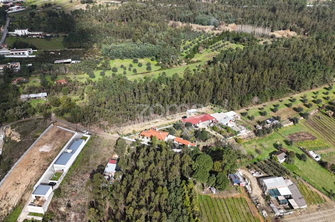 Terreno para Venda em Antuzede e Vil de Matos Foto 10