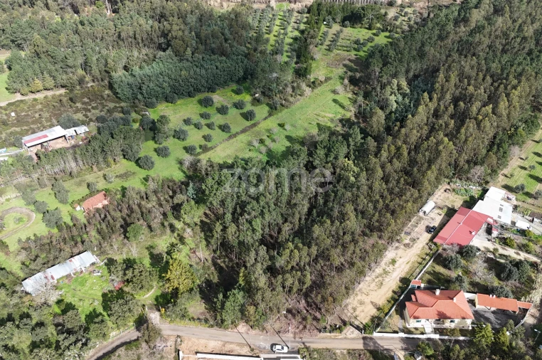 Terreno para Venda em Antuzede e Vil de Matos Foto 15
