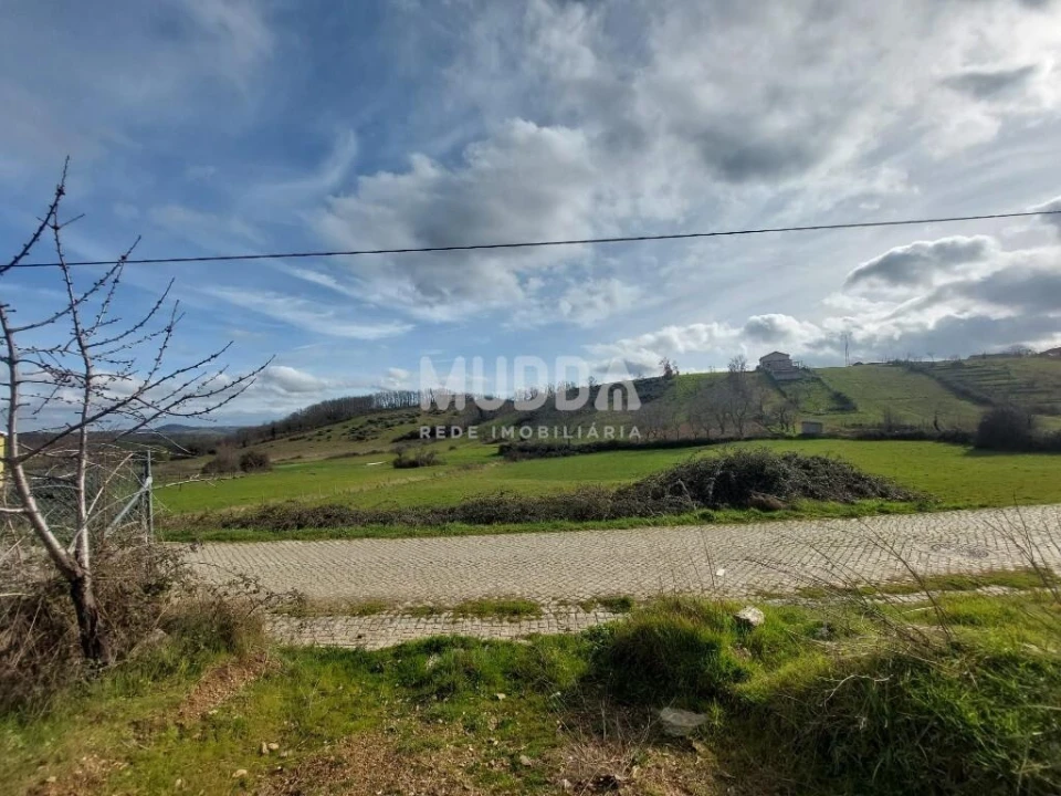 Terreno para Venda em Rebordãos Foto 9