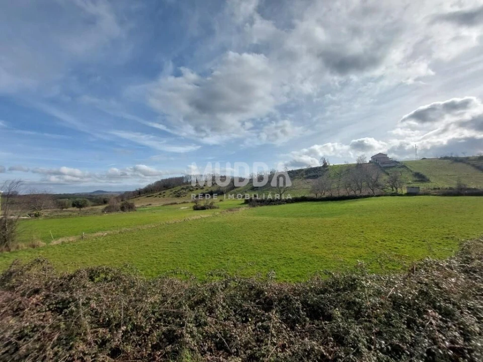 Terreno para Venda em Rebordãos Foto 10