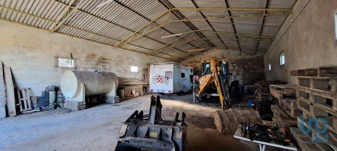 Negócio para Arrendamento em Lourinhã e Atalaia Foto 4