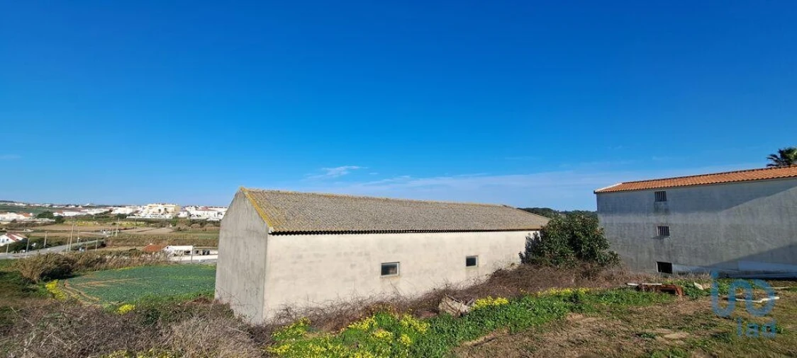 Negócio para Arrendamento em Lourinhã e Atalaia Foto 13