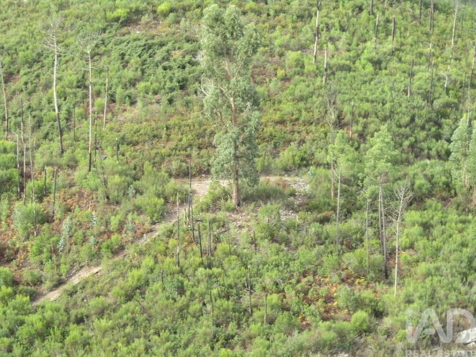 Moradia para Venda em Santiago de Montalegre Foto 27