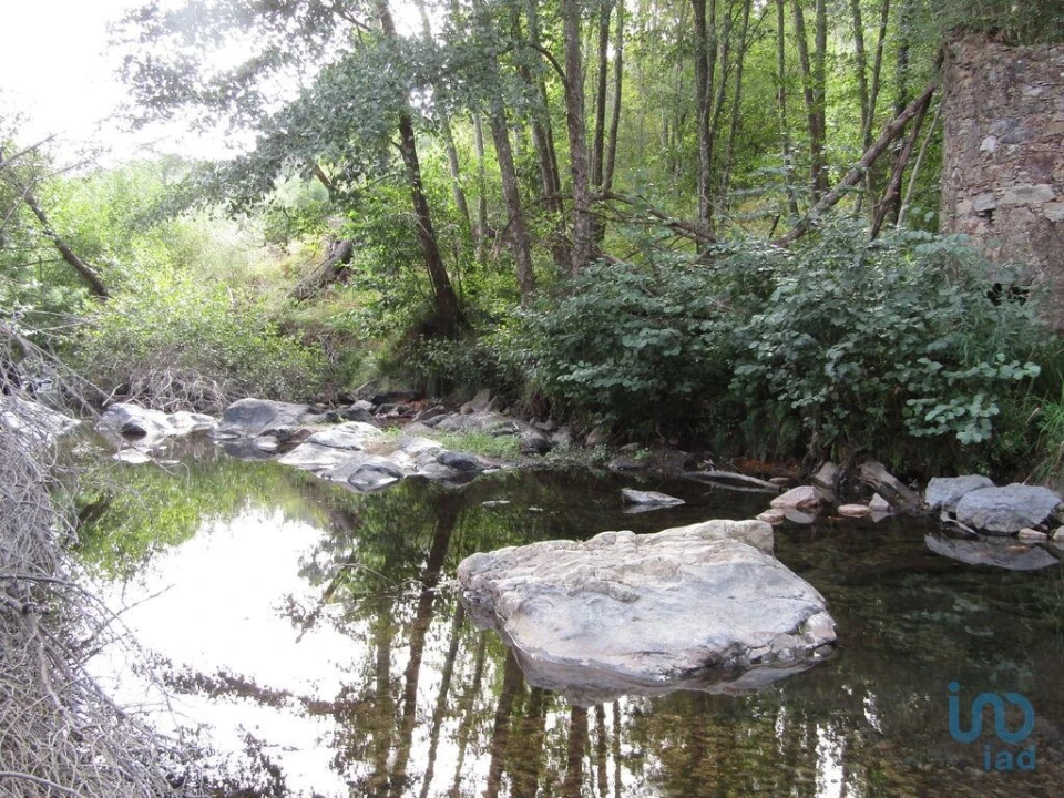 Moradia para Venda em Santiago de Montalegre Foto 2