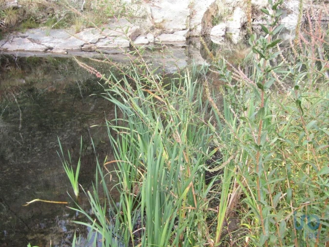 Moradia para Venda em Santiago de Montalegre Foto 15