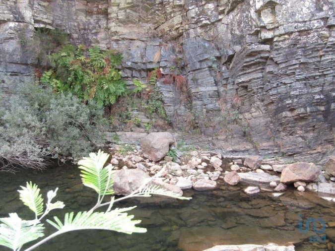 Moradia para Venda em Santiago de Montalegre Foto 10