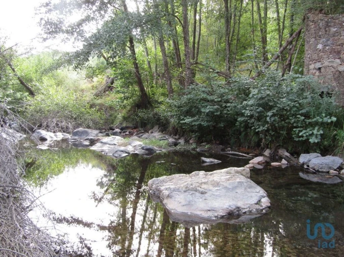 Moradia para Venda em Santiago de Montalegre Foto 2