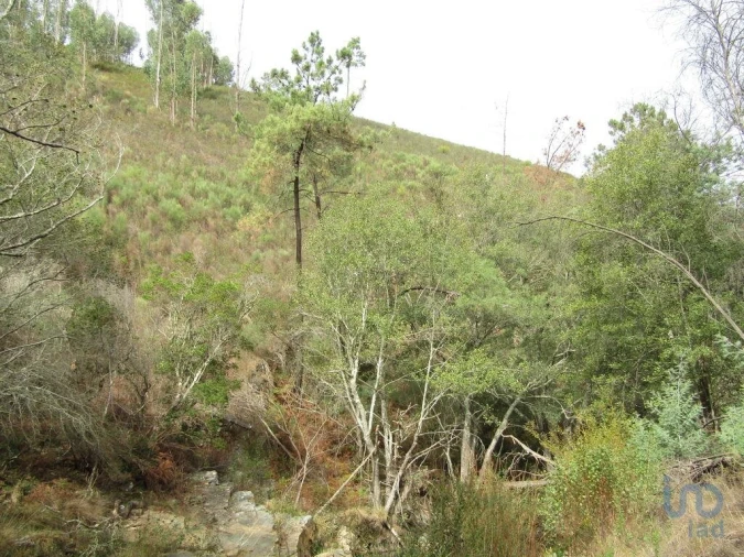 Moradia para Venda em Santiago de Montalegre Foto 14