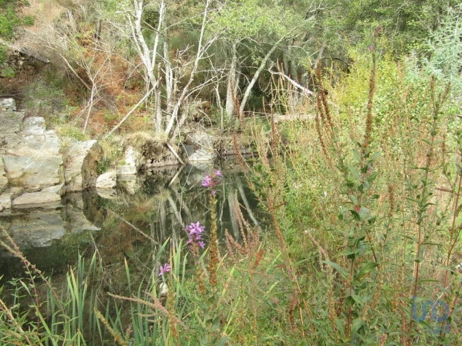 Moradia para Venda em Santiago de Montalegre Foto 8