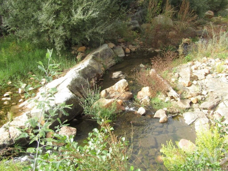 Moradia para Venda em Santiago de Montalegre Foto 18