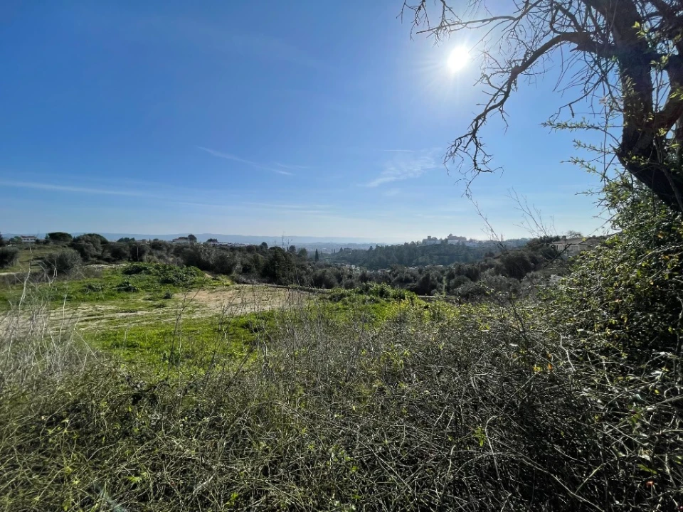 Terreno para Venda em Serra e Junceira Foto 7