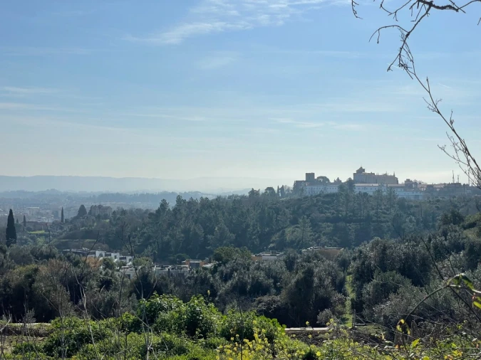 Terreno para Venda em Serra e Junceira Foto 2
