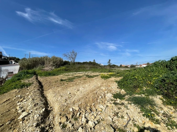 Terreno para Venda em Serra e Junceira Foto 4