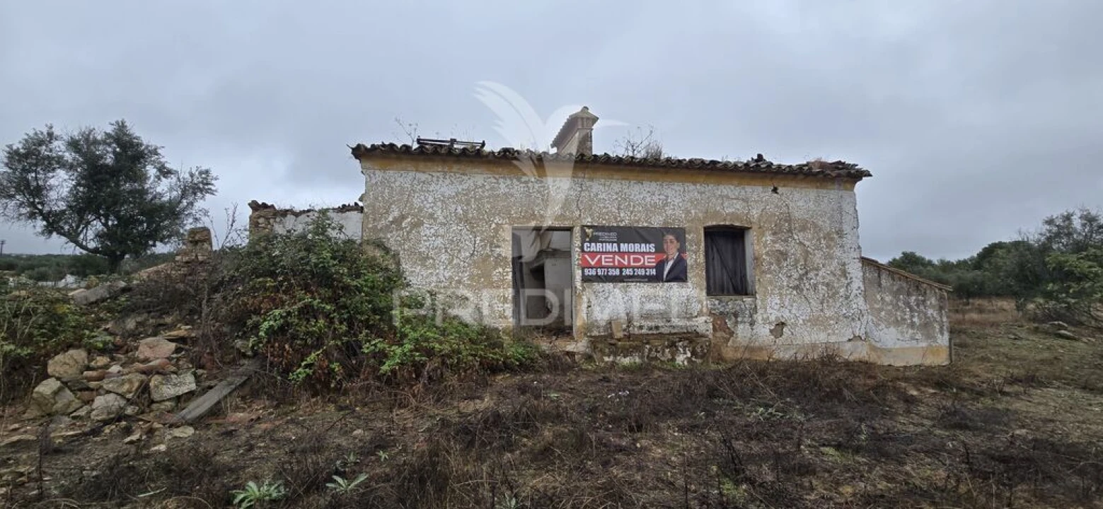 Terreno para Venda em Ribeira de Nisa e Carreiras Foto 2
