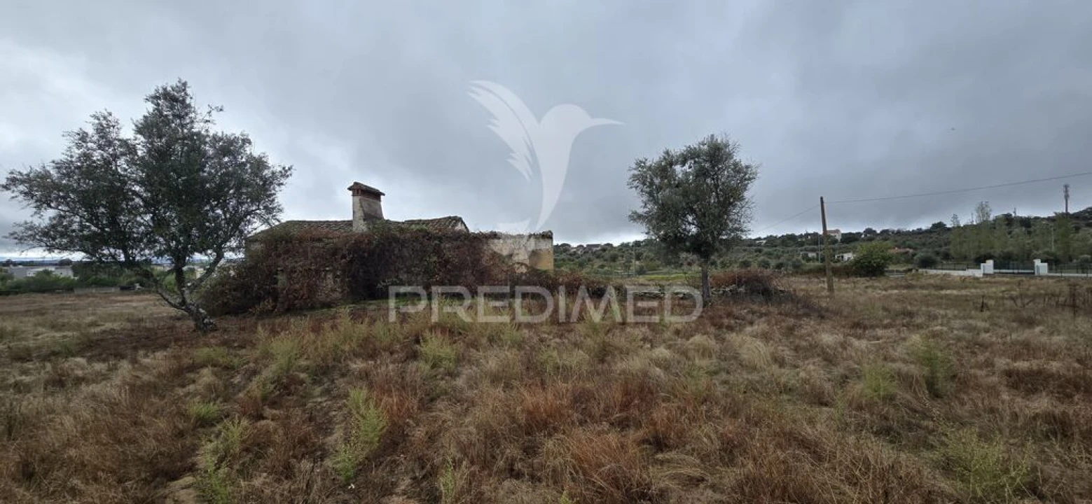 Terreno para Venda em Ribeira de Nisa e Carreiras Foto 5