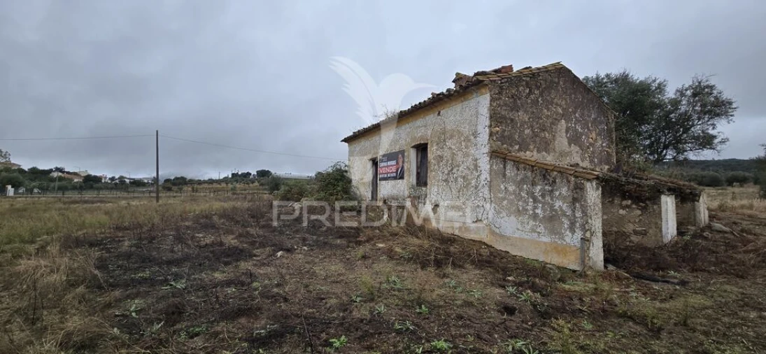 Terreno para Venda em Ribeira de Nisa e Carreiras Foto 1