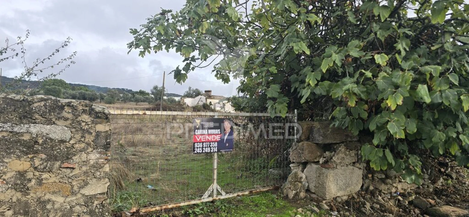 Terreno para Venda em Ribeira de Nisa e Carreiras Foto 4