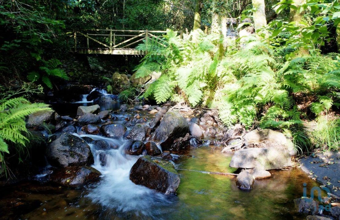 Terreno para Venda em Podentes Foto 10