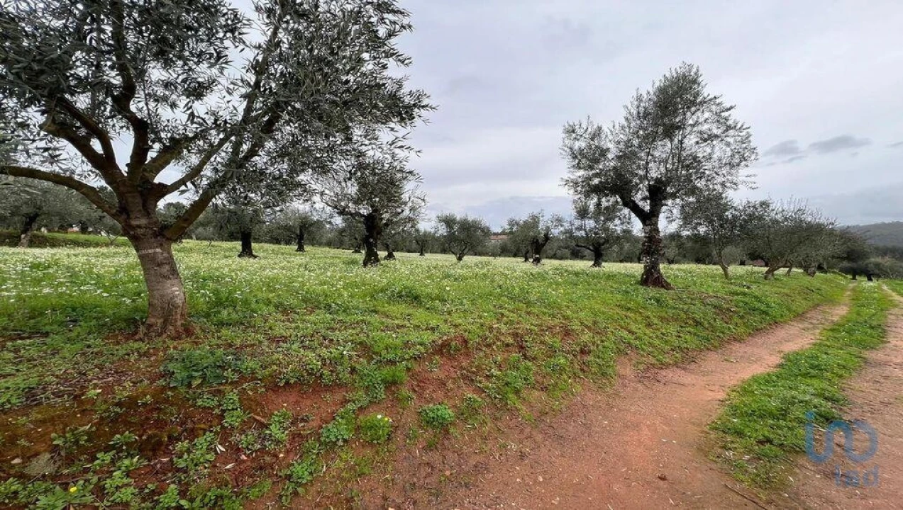 Terreno para Venda em Podentes Foto 1