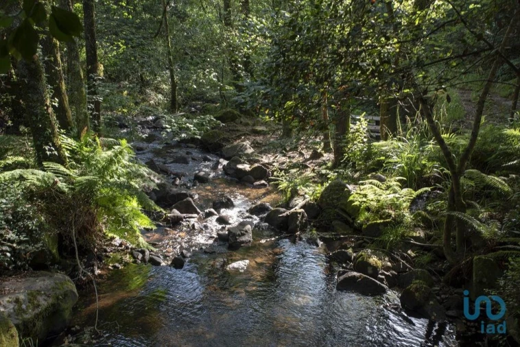 Terreno para Venda em Podentes Foto 8