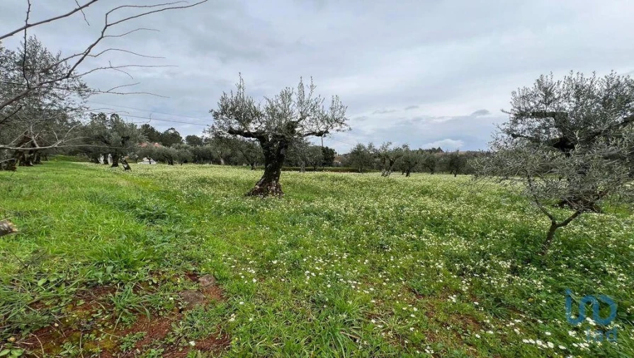 Terreno para Venda em Podentes Foto 3