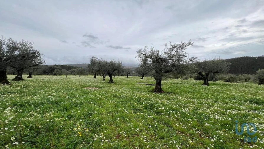 Terreno para Venda em Podentes Foto 4