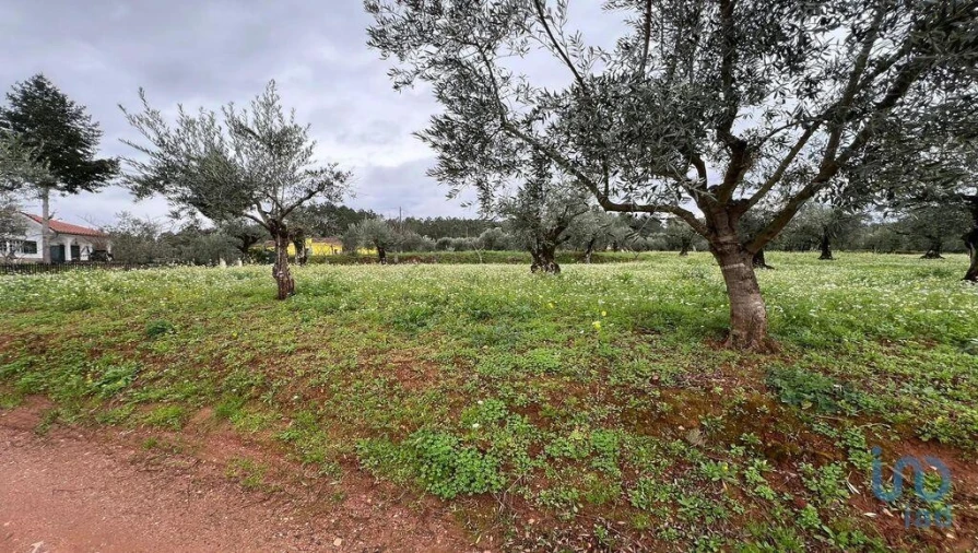 Terreno para Venda em Podentes Foto 6