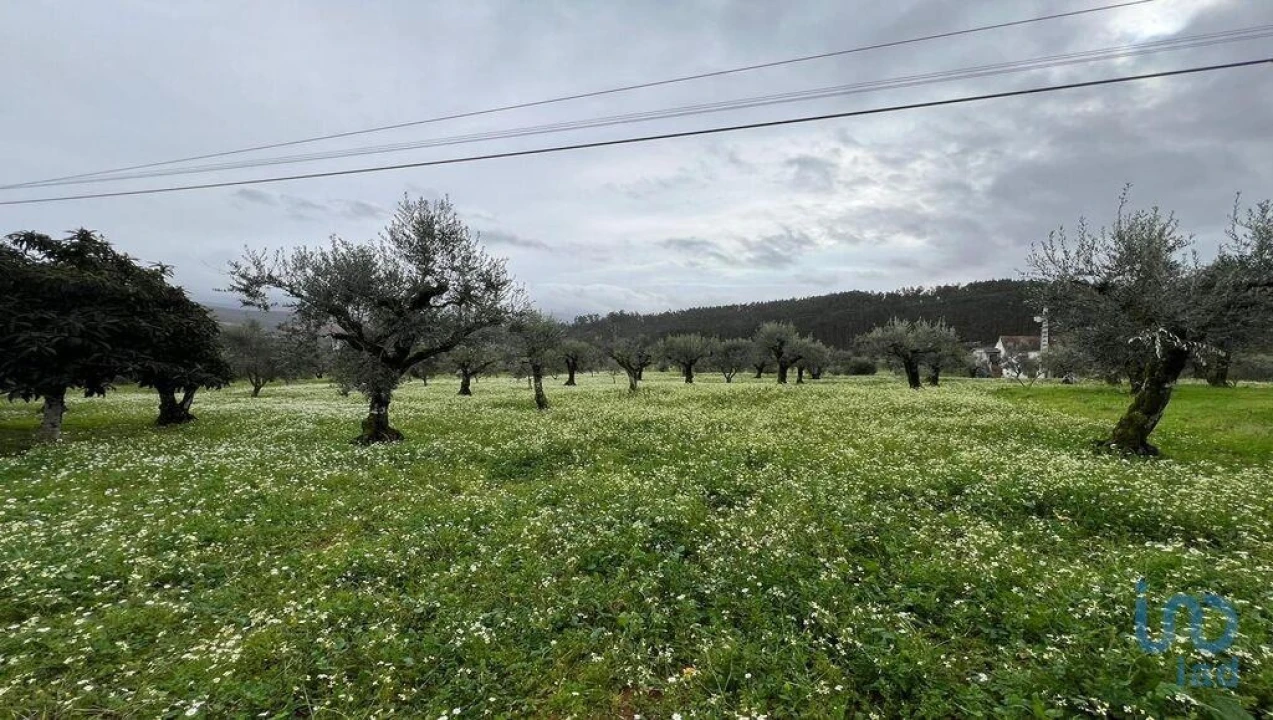 Terreno para Venda em Podentes Foto 5